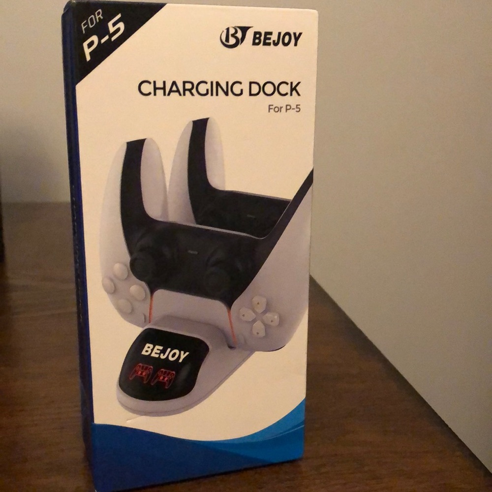 Charging Dock for P-5